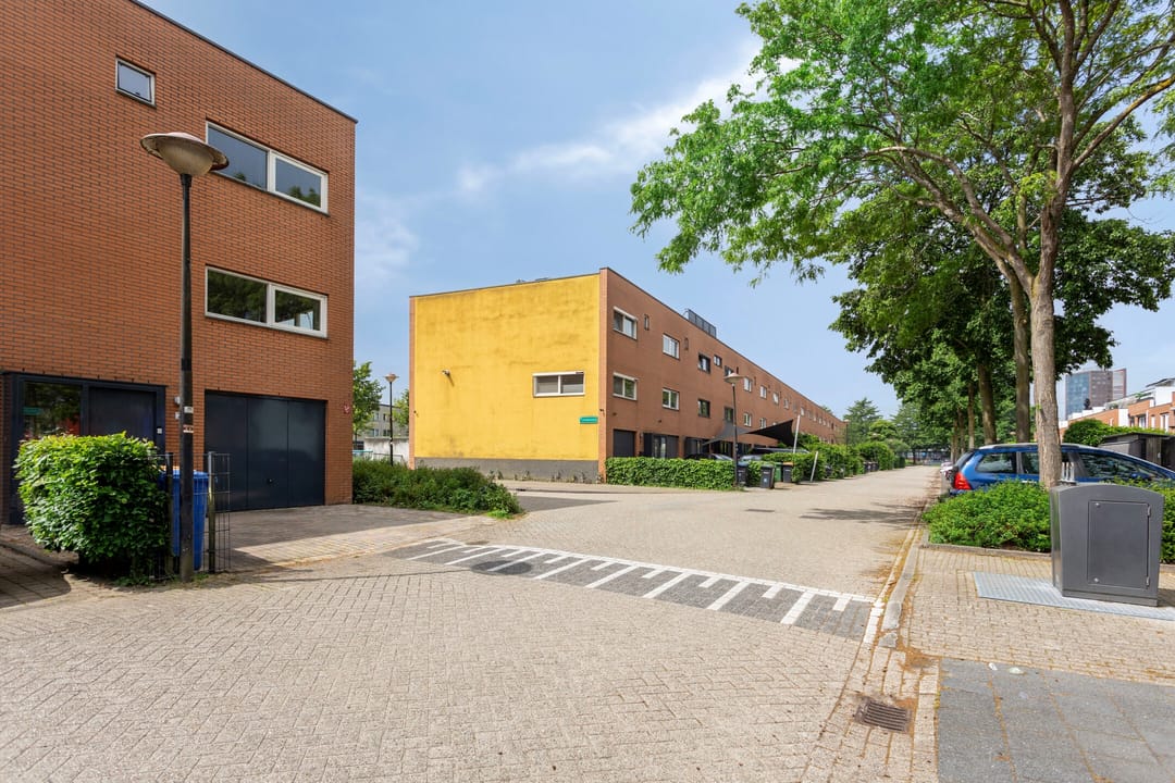 Foto 38 van Gele Plomp 2