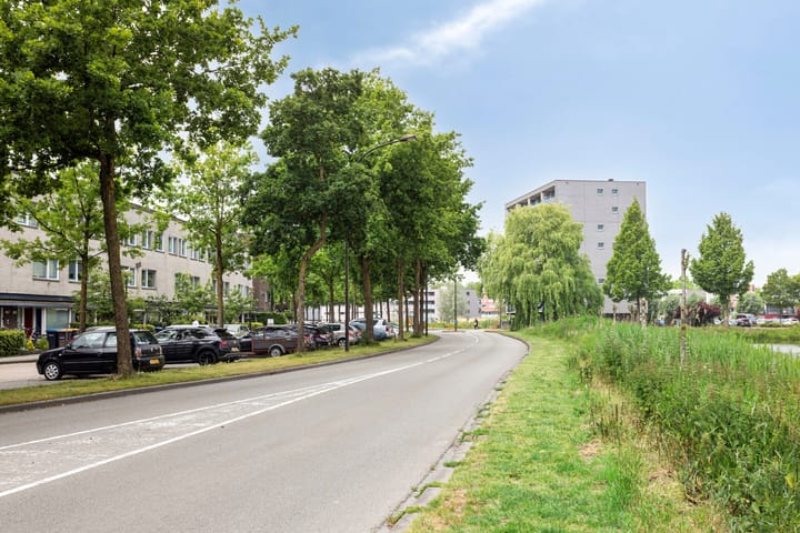 Foto 40 van Gele Plomp 2