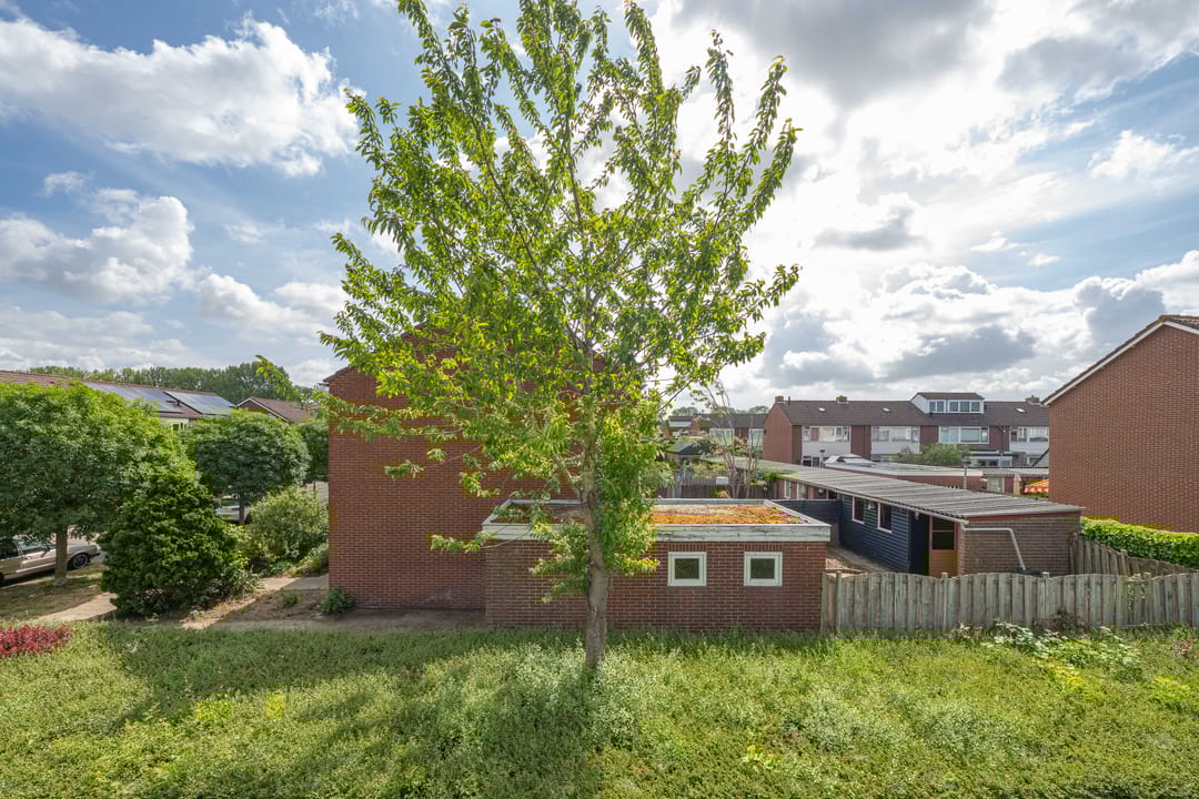 Foto 53 van Ibisstraat 2