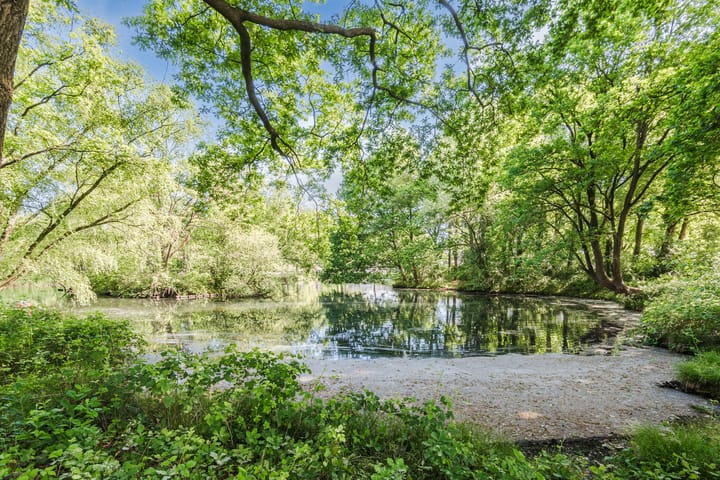 Foto 38 van Staringstraat 128