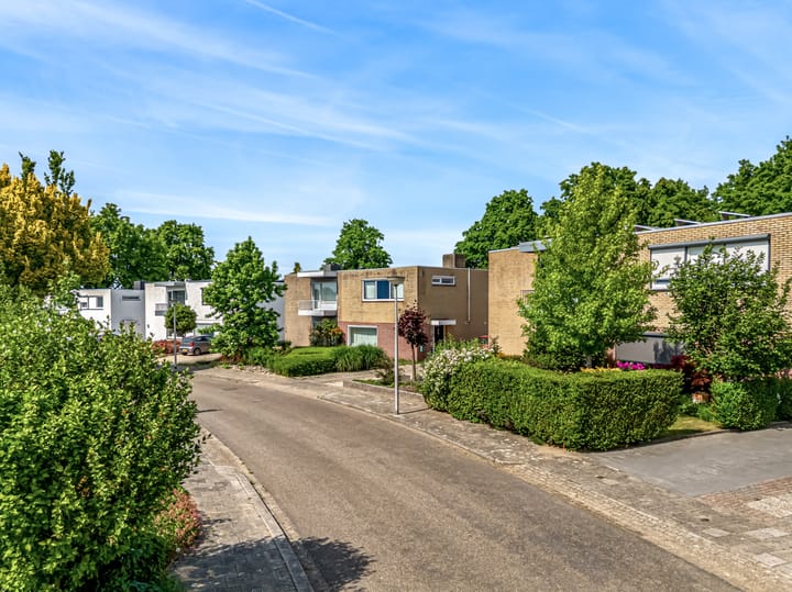 Photo 33 of Dokter van Berckellaan 13