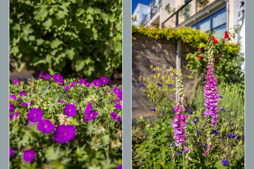 Foto 22 van Sweelinckstraat 9