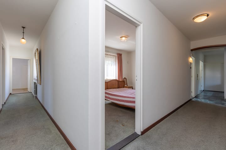 Foto 20 van de Counelaan 19