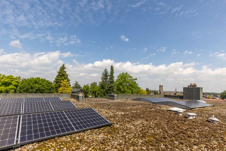 Foto 35 van de Counelaan 19