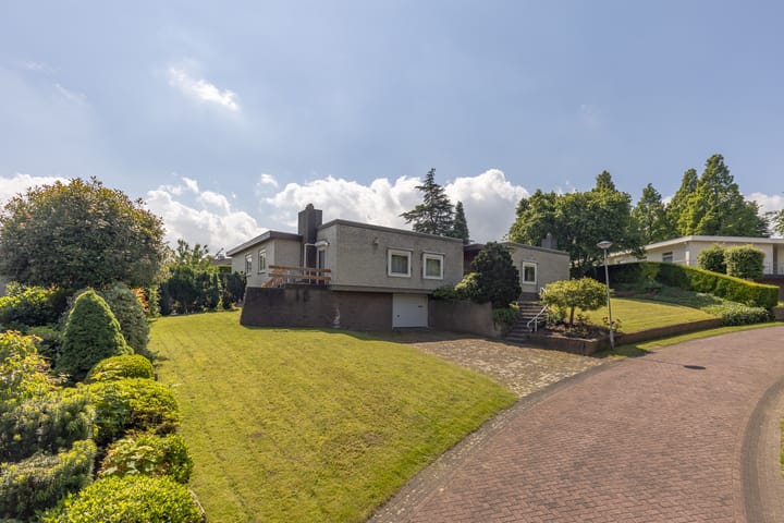 Foto 38 van de Counelaan 19