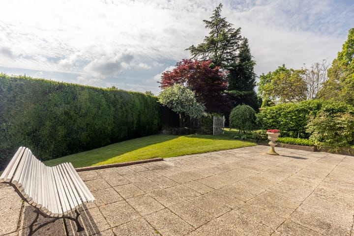 Foto 41 van de Counelaan 19