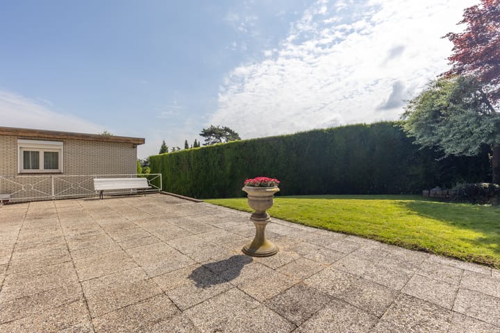 Foto 42 van de Counelaan 19