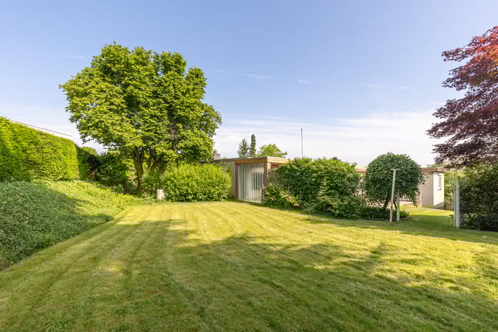 Foto 43 van de Counelaan 19