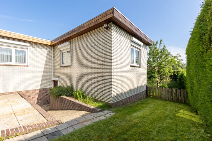 Foto 45 van de Counelaan 19