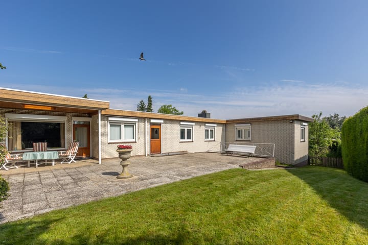 Foto 46 van de Counelaan 19