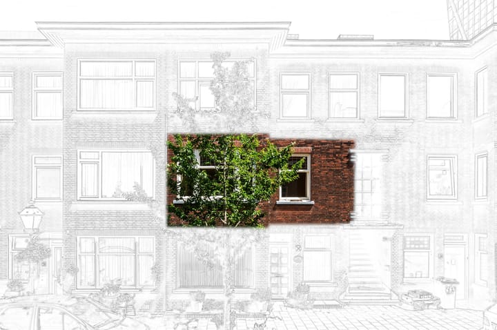 Foto 2 van Van den Boschstraat 260