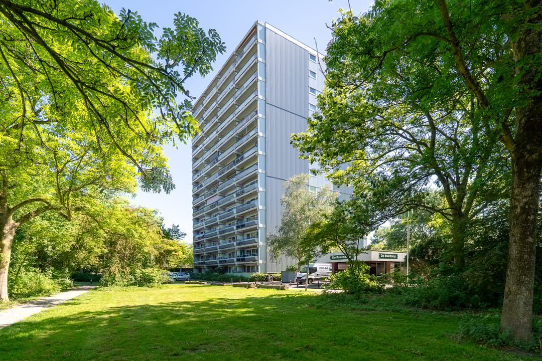 Foto 1 van De Roerdomp 188