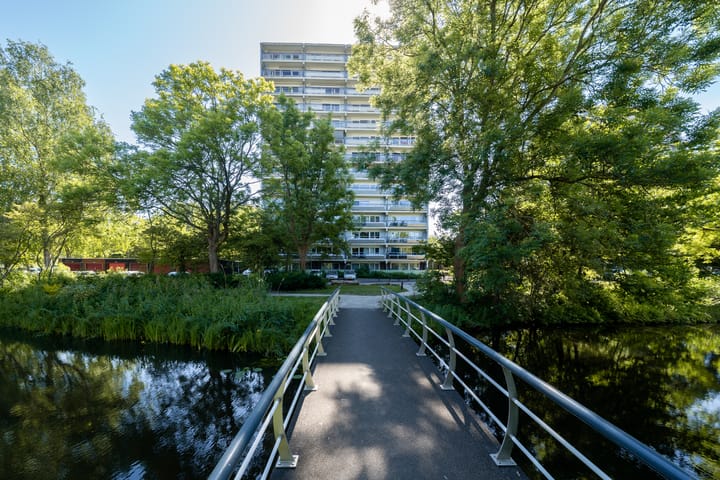 Foto 5 van De Roerdomp 188