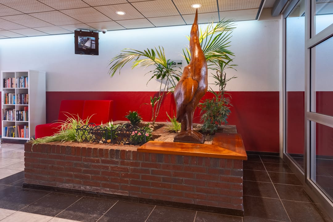 Foto 8 van De Roerdomp 188