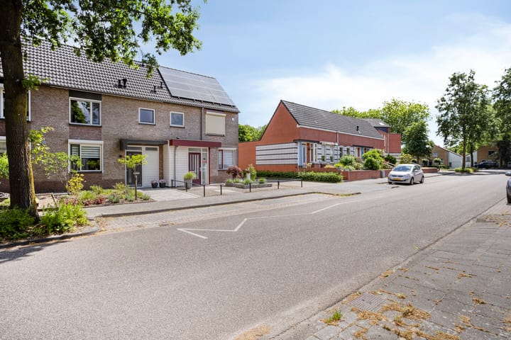 Foto 6 van Leverkruid 18