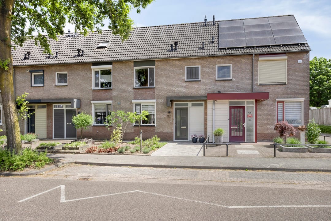 Foto 7 van Leverkruid 18