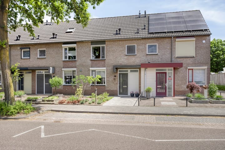 Foto 7 van Leverkruid 18