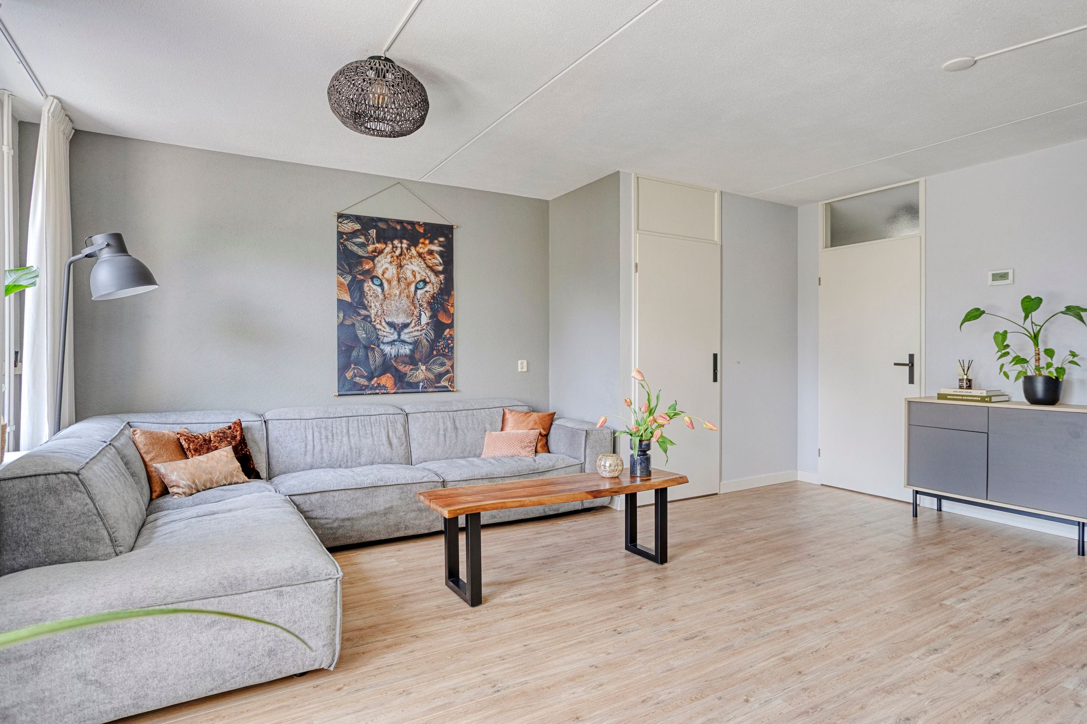 Foto 18 van Leverkruid 18