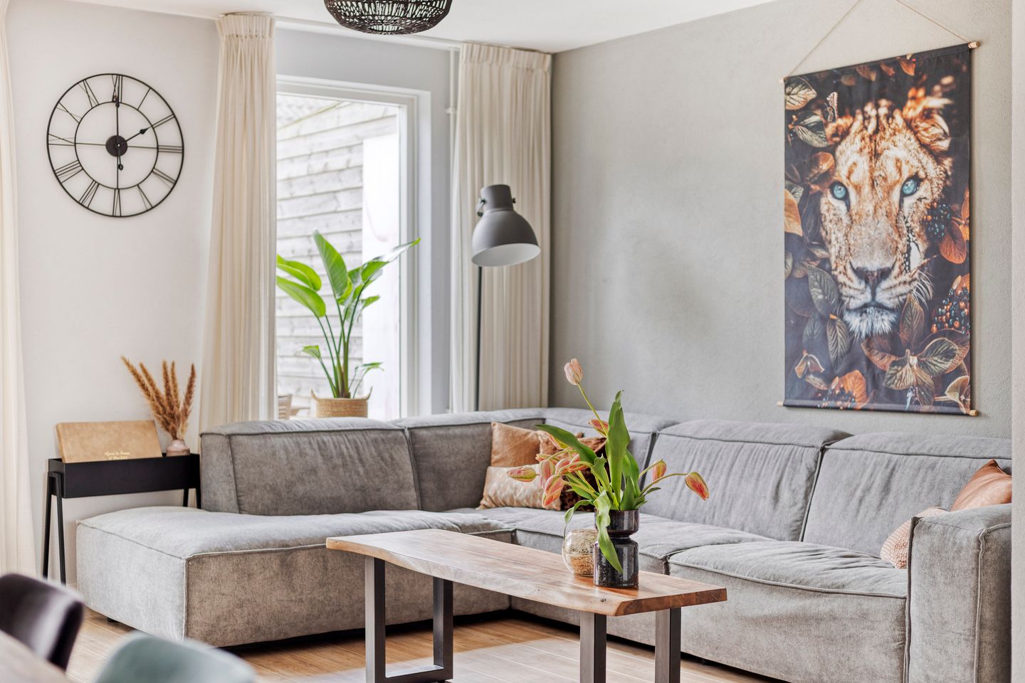 Foto 19 van Leverkruid 18