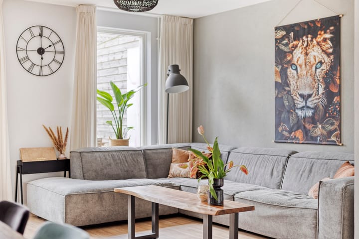 Foto 19 van Leverkruid 18