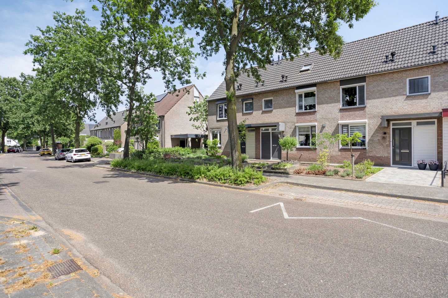 Foto 35 van Leverkruid 18