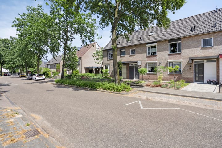 Foto 35 van Leverkruid 18