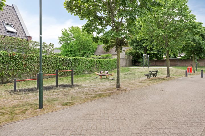 Foto 36 van Leverkruid 18