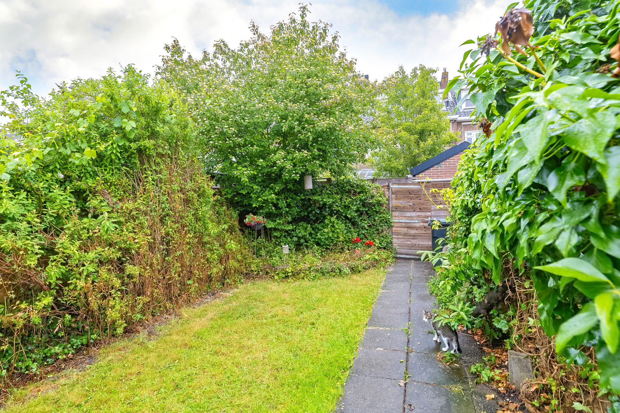 Foto 21 van Pleiadenstraat 12