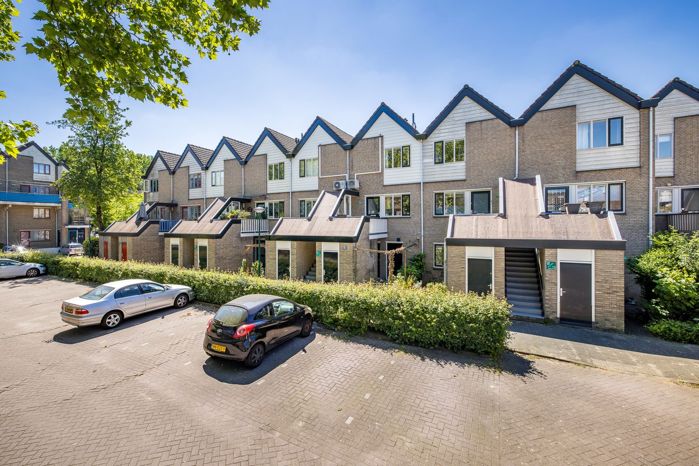 Foto 5 van Antilopespoor 383