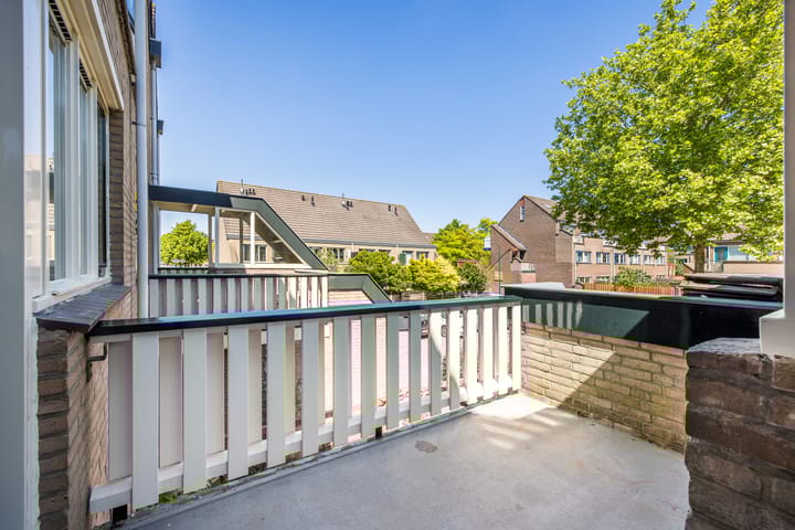 Foto 8 van Antilopespoor 383