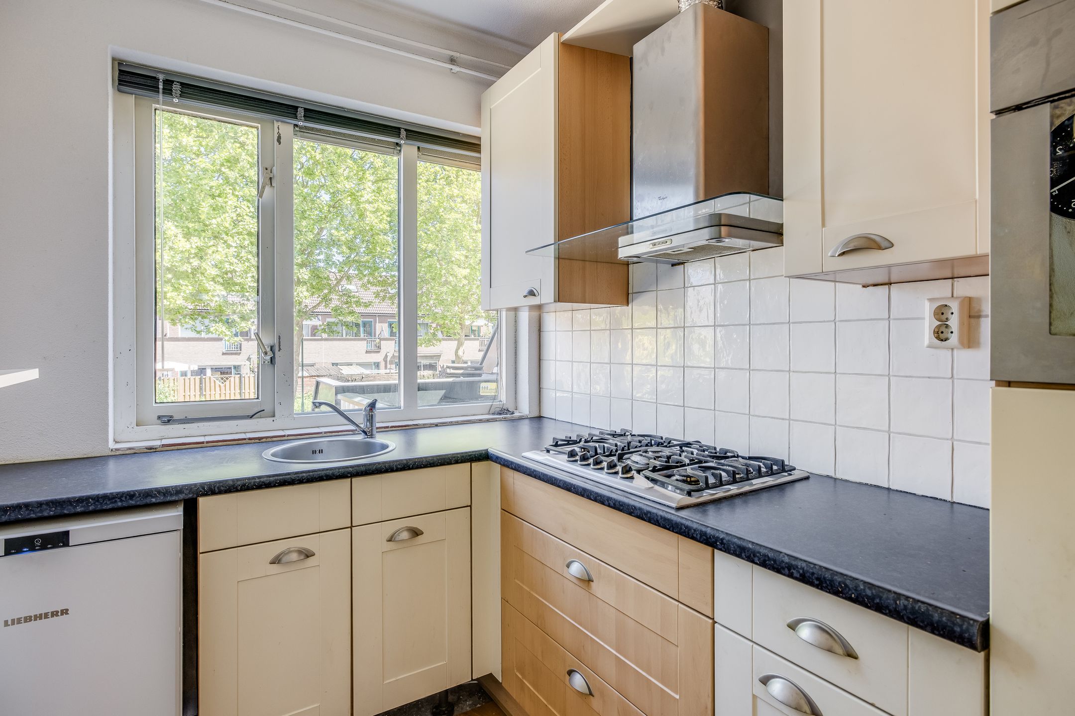 Foto 15 van Antilopespoor 383