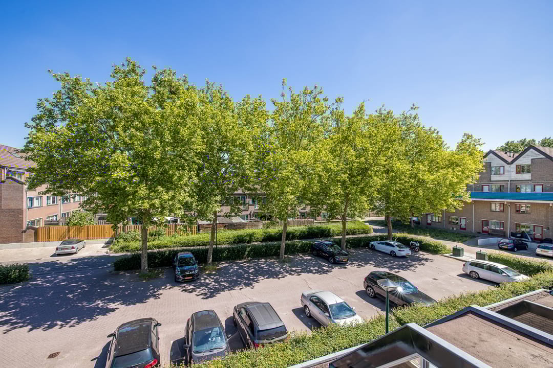 Foto 16 van Antilopespoor 383