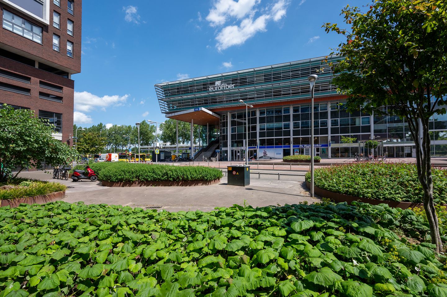 Foto 40 van Antilopespoor 383