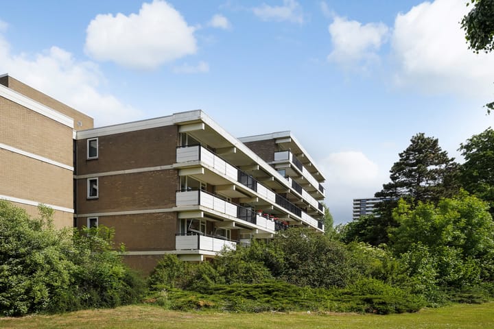 Foto 1 van Hammarskjöldlaan 695