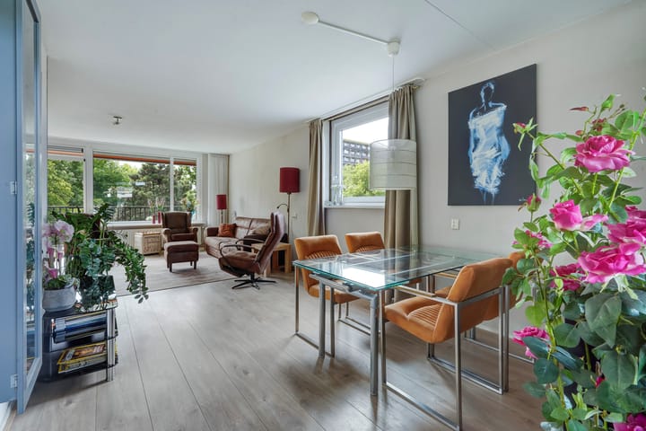 Foto 2 van Hammarskjöldlaan 695