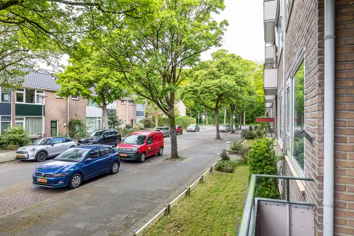 Foto 29 van Strausslaan 32