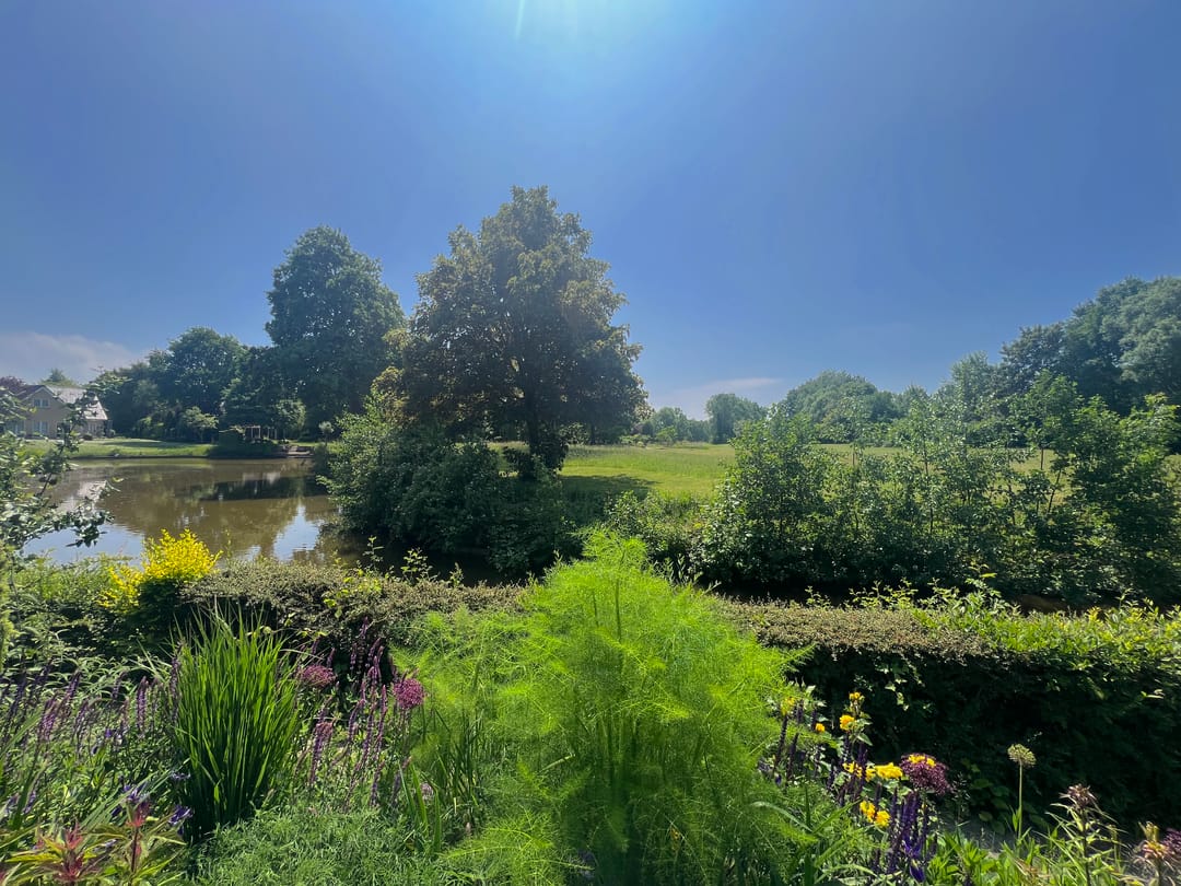 Foto 56 van Grevelingenhout 107