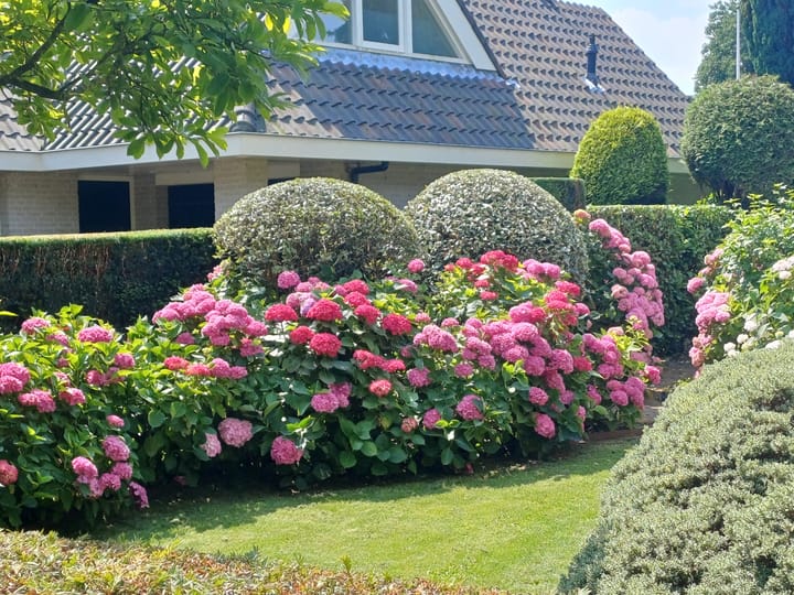 Photo 57 of Grevelingenhout 107