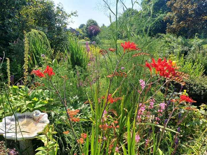 Photo 58 of Grevelingenhout 107