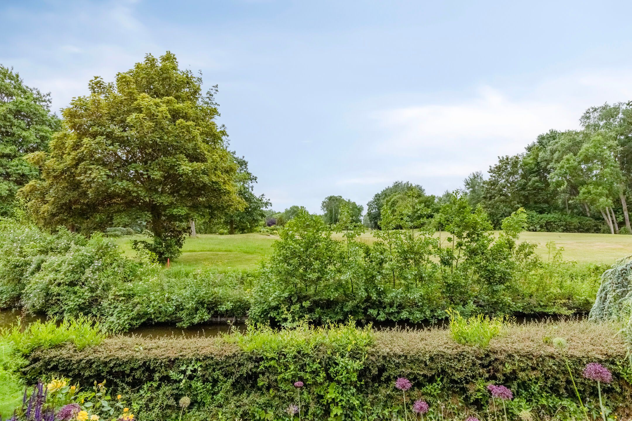 Foto 63 van Grevelingenhout 107