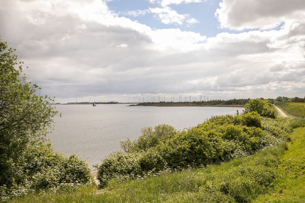 Foto 74 van Grevelingenhout 107