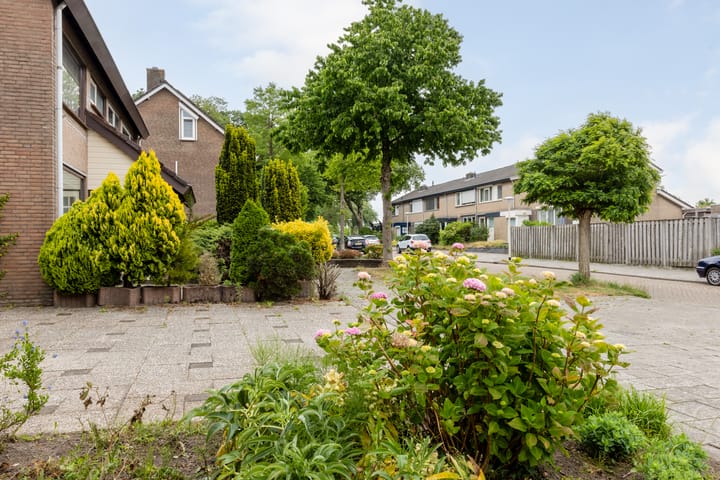 Foto 5 van Schiethoek 19