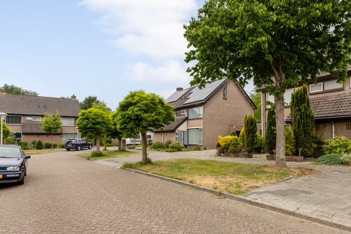 Foto 7 van Schiethoek 19