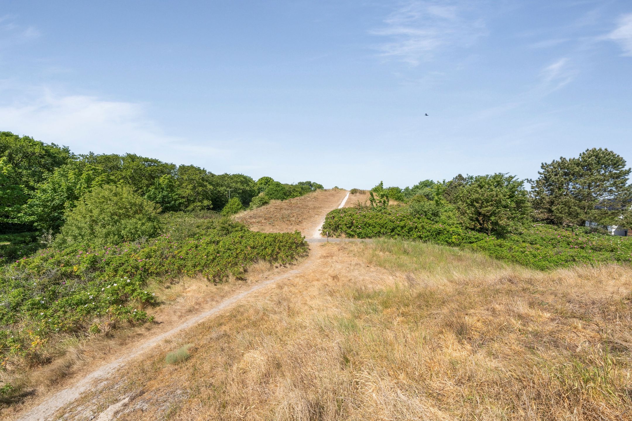 Foto 66 van Helmweg 15-B