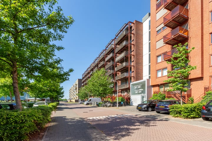 View photo of Vurehout 305