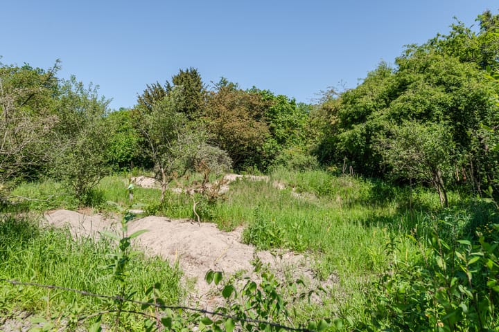 Foto 31 van Van den Berghlaan 479