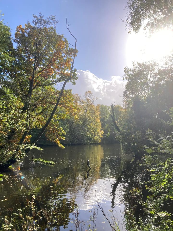 Foto 21 van Zocherstraat 57-2