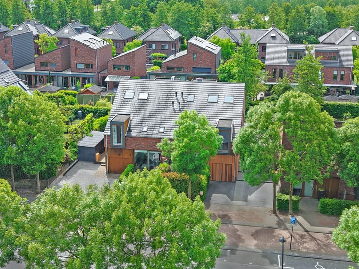 Foto 11 van Vrouwenpolder 12