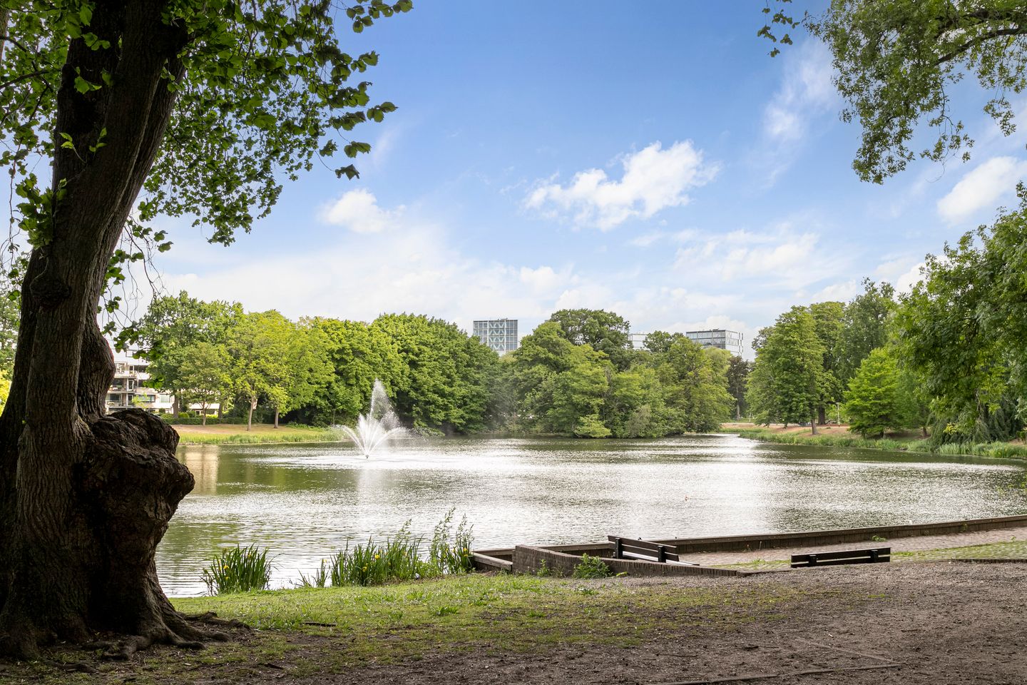 Photo 35 of Tulpenstraat 3