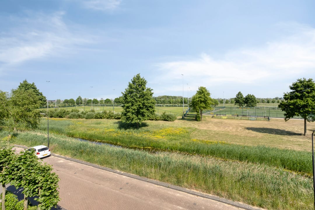 Photo 2 of Schrepel 38